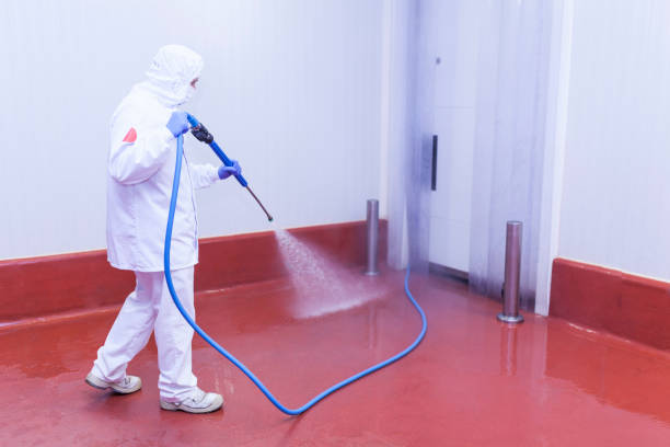 Best Dumpster Area Cleaning  in Newton, NJ